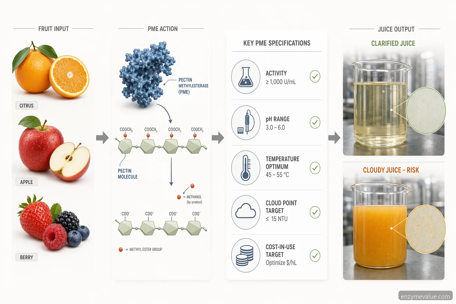 application of pectin methylesterase specification checklist for juice PME selection by fruit, pH, heat and cloud target