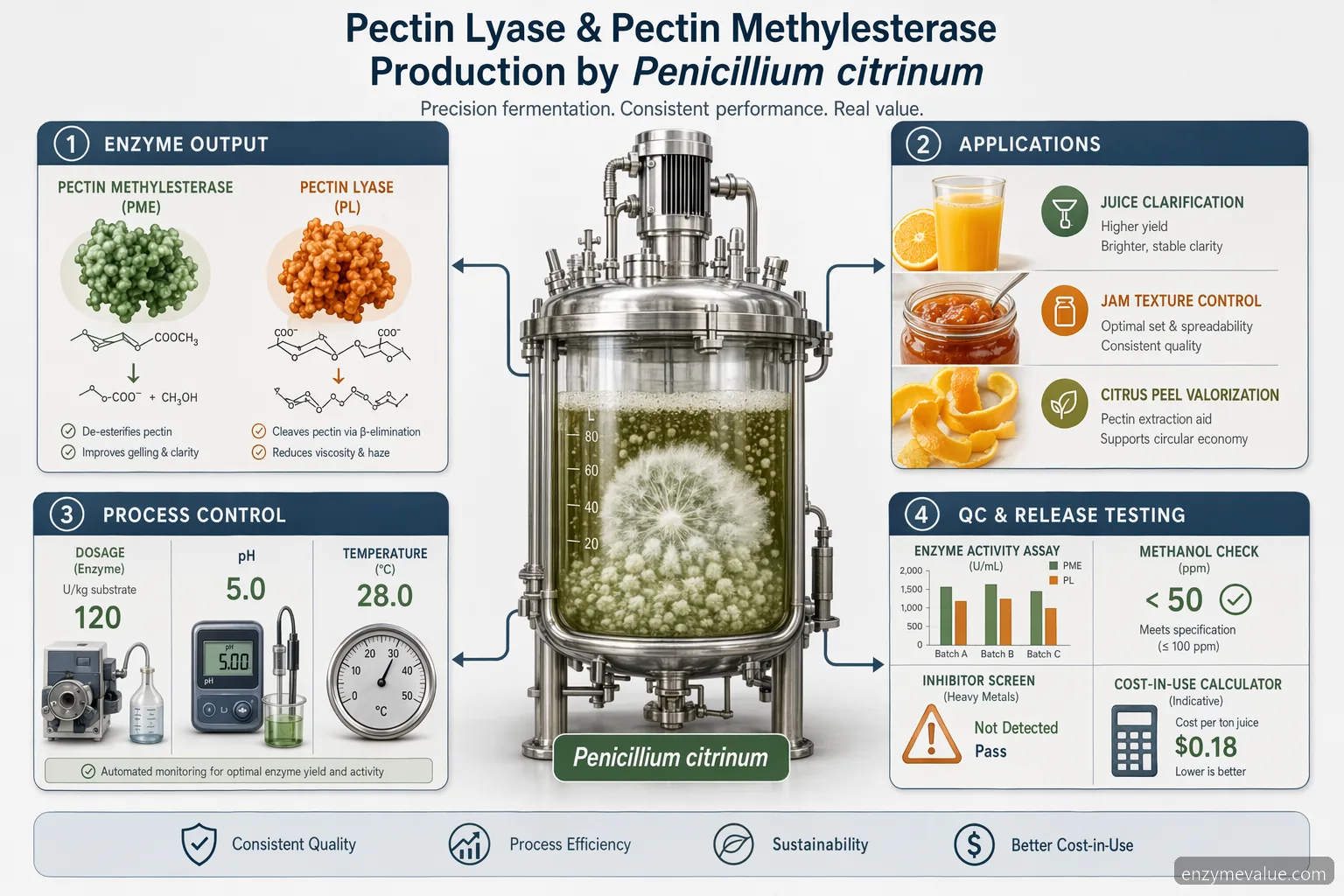Ръководство за pectin lyase и pectin methylesterase production by Penicillium citrinum, дозировка на ензима, pH, температура и QC workflow