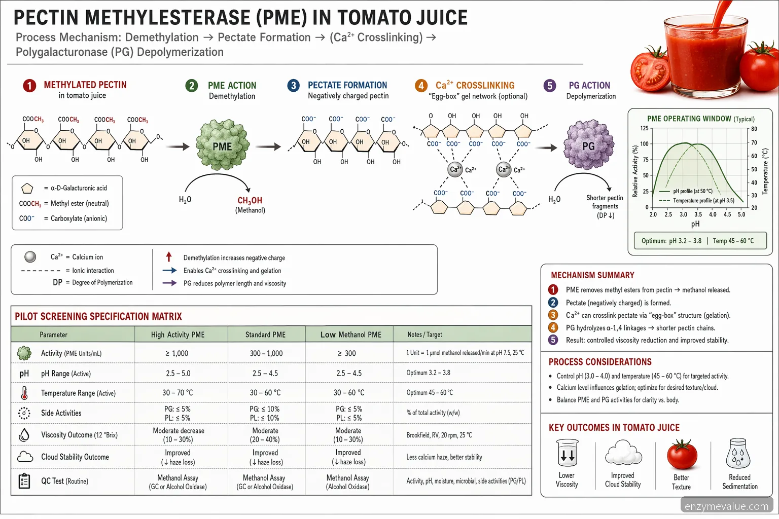 pectin methylesterase nel succo di pomodoro per la lavorazione industriale: flusso di reazione della pectina e matrice di controllo